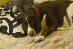 photo thumbnail #13