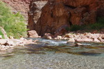 photo thumbnail #11