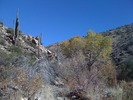 photo thumbnail #4