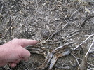 photo thumbnail #8