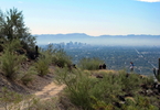 photo thumbnail #7