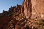 photo thumbnail #8