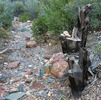 photo thumbnail #9