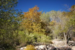 photo thumbnail #11
