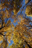 photo thumbnail #14