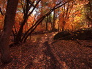 photo thumbnail #11