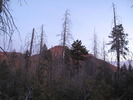 photo thumbnail #1