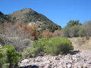 photo thumbnail #2