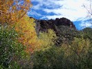 photo thumbnail #9