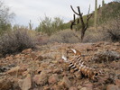 photo thumbnail #1