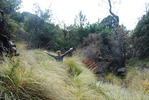 photo thumbnail #5