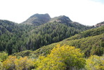 photo thumbnail #10