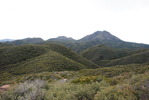 photo thumbnail #14
