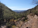 photo thumbnail #7