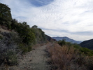 photo thumbnail #11