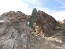 photo thumbnail #9