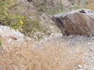 photo thumbnail #11