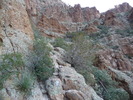 photo thumbnail #6
