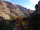 photo thumbnail #14