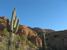 photo thumbnail #11