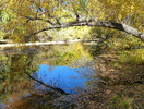 photo thumbnail #12