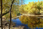 photo thumbnail #13
