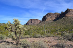 photo thumbnail #4