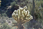 photo thumbnail #7