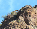 photo thumbnail #15