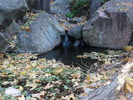 photo thumbnail #2
