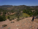 photo thumbnail #2