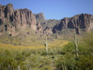 photo thumbnail #1