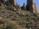 photo thumbnail #12