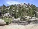 photo thumbnail #4