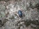 photo thumbnail #13