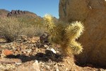 photo thumbnail #2