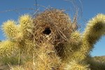 photo thumbnail #14
