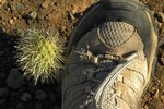 photo thumbnail #15