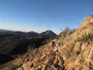 photo thumbnail #3