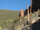 photo thumbnail #7
