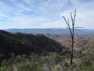 photo thumbnail #13