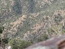 photo thumbnail #15