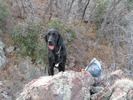 photo thumbnail #14