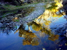 photo thumbnail #11