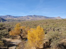 photo thumbnail #6