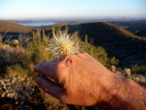 photo thumbnail #4
