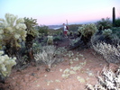 photo thumbnail #6