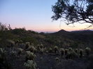 photo thumbnail #7