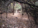 photo thumbnail #11