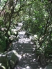 photo thumbnail #10